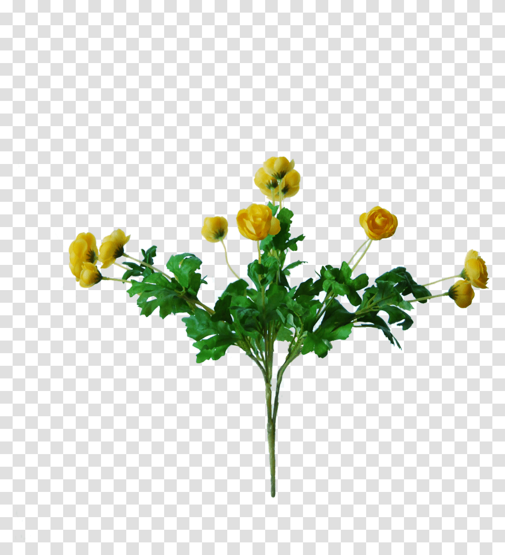 Bouquet, Bush, Vegetation, Plant, Flower Transparent Png