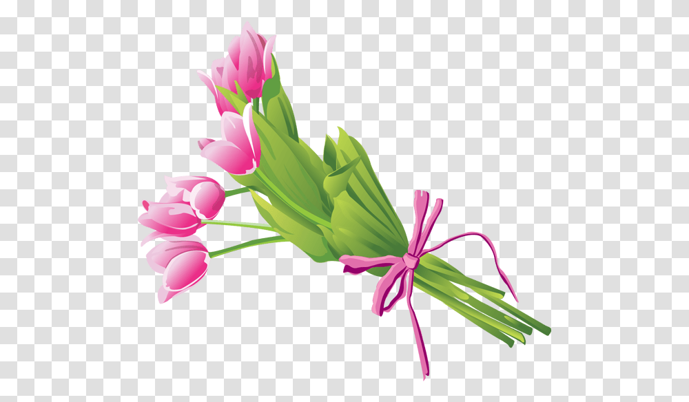 Bouquet Cliparts, Plant, Flower, Blossom, Petal Transparent Png