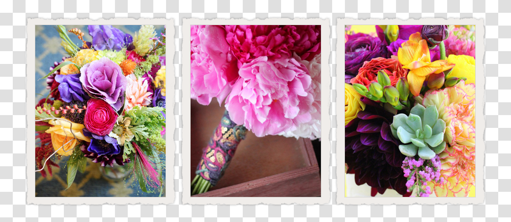 Bouquet, Collage, Poster, Advertisement, Plant Transparent Png