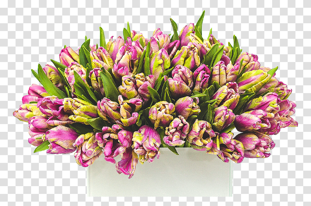 Bouquet, Flower Bouquet, Flower Arrangement, Plant, Blossom Transparent Png