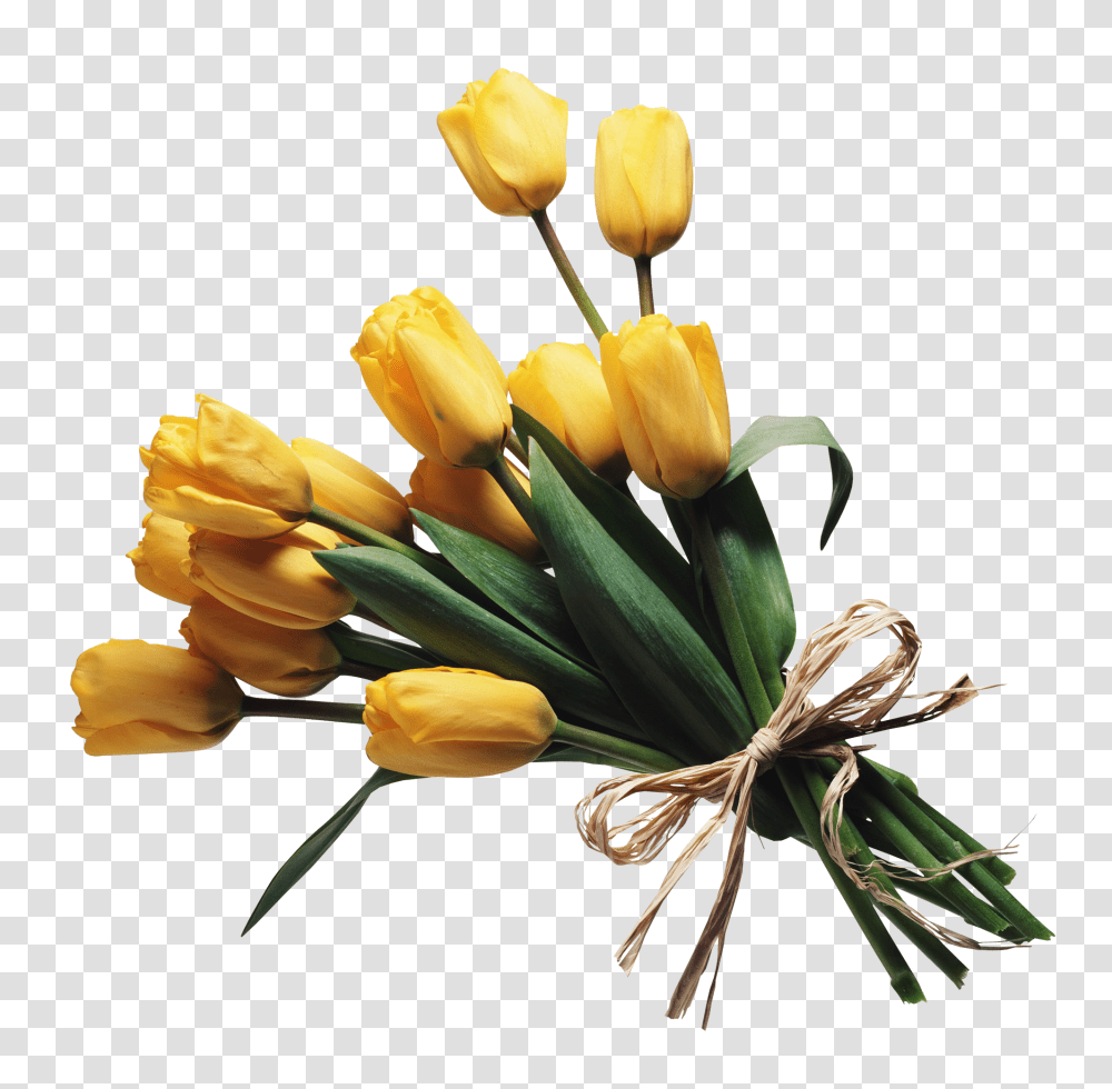 Bouquet, Flower, Plant, Blossom, Flower Arrangement Transparent Png