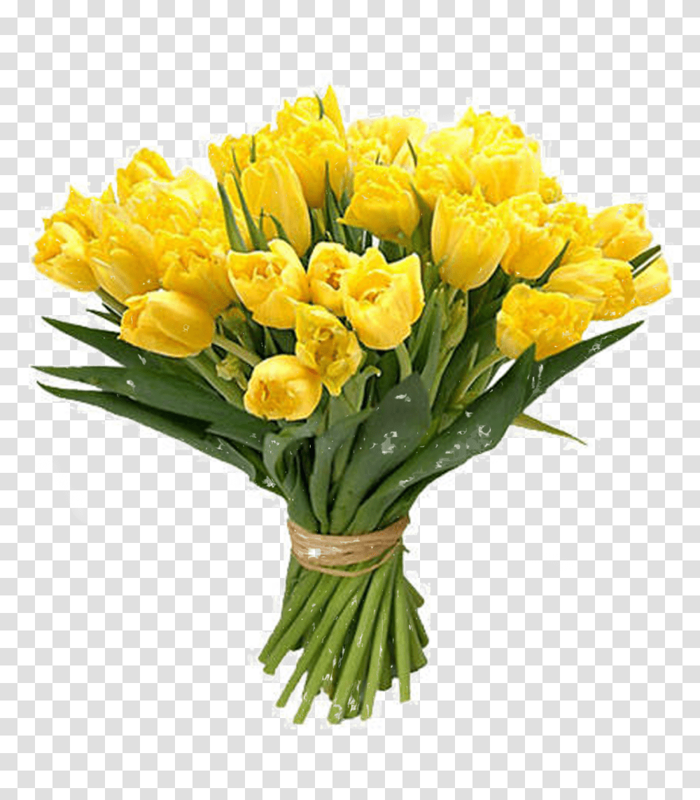 Bouquet, Flower, Plant, Blossom, Flower Arrangement Transparent Png