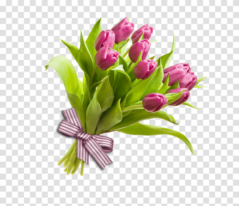 Bouquet, Flower, Plant, Blossom, Flower Bouquet Transparent Png