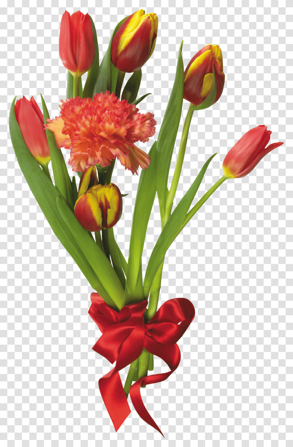 Bouquet, Flower, Plant, Blossom, Flower Bouquet Transparent Png