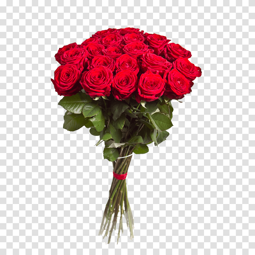 Bouquet, Flower, Plant, Blossom, Rose Transparent Png