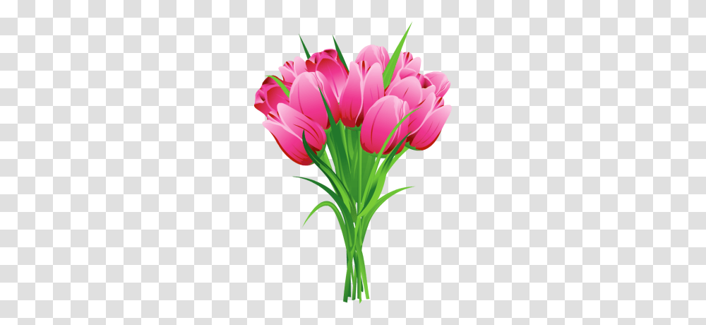 Bouquet, Flower, Plant, Blossom, Tulip Transparent Png