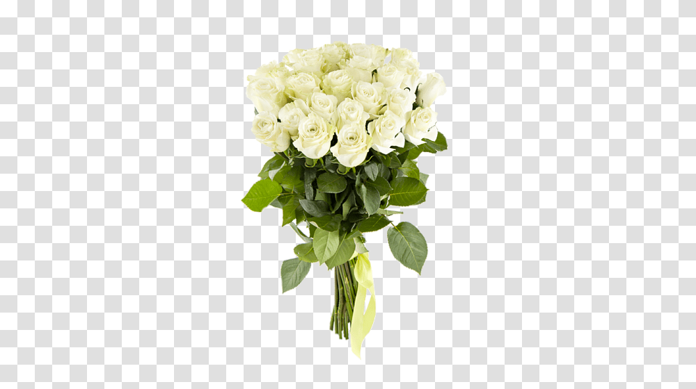 Bouquet, Flower, Plant, Floral Design, Pattern Transparent Png