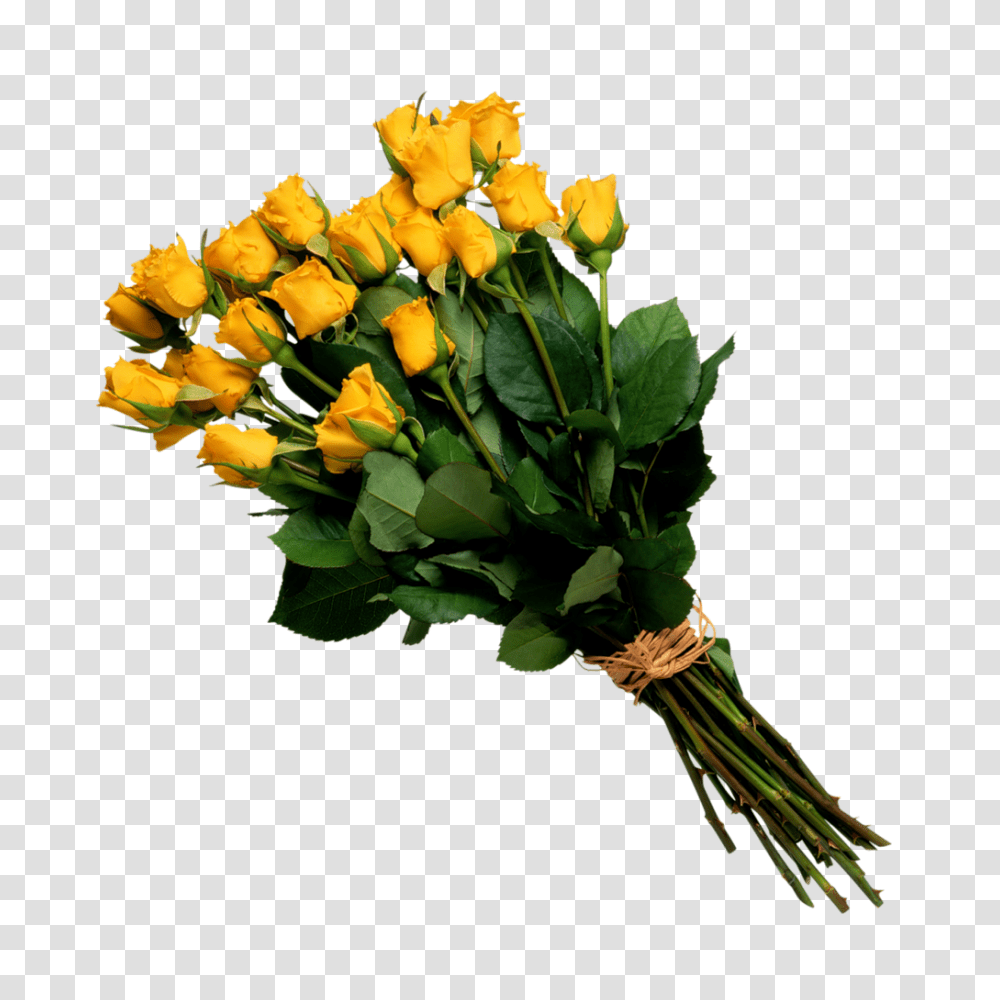 Bouquet, Flower, Plant, Flower Bouquet, Flower Arrangement Transparent Png