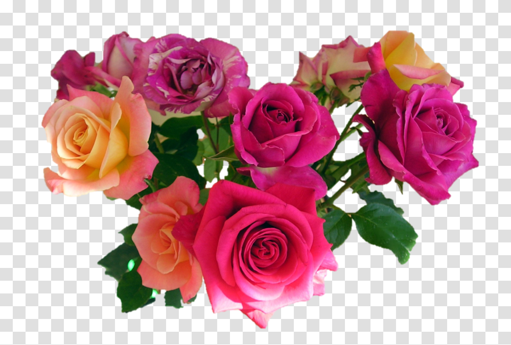 Bouquet, Flower, Plant, Rose, Blossom Transparent Png