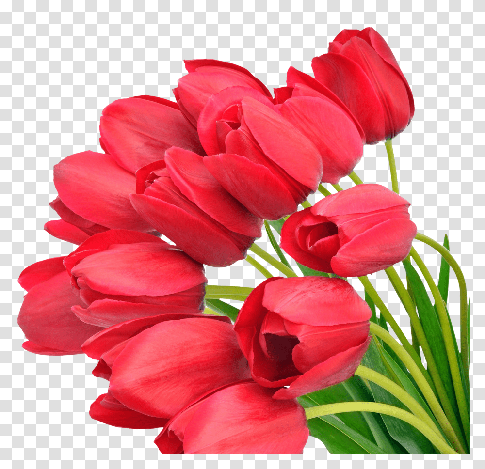 Bouquet, Flower Transparent Png