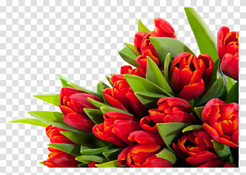 Bouquet Flowers Flower Bouquet Transparent Png