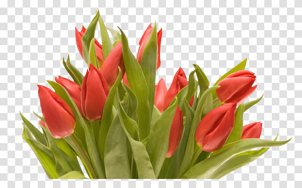 Bouquet Flowers Transparent Png