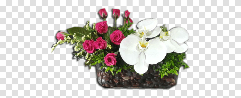 Bouquet, Floral Design, Pattern Transparent Png