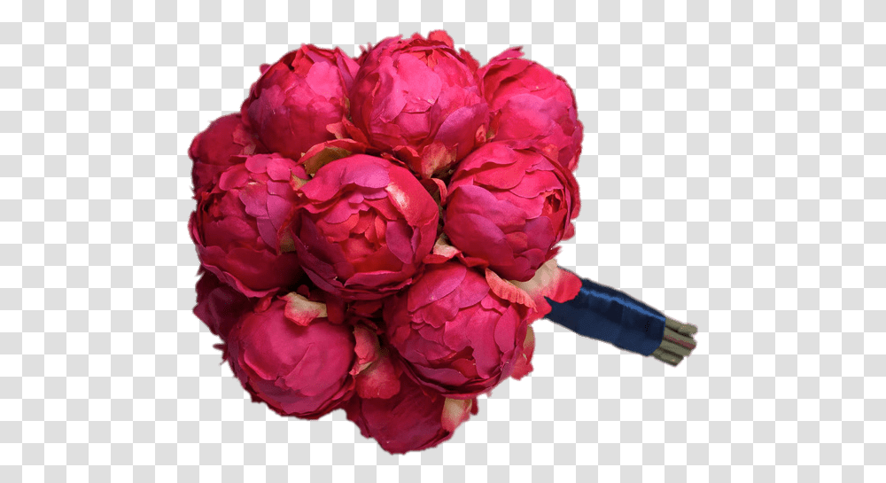 Bouquet Of Dark Pink Peonies Peonies Bouquet, Plant, Peony, Flower, Blossom Transparent Png