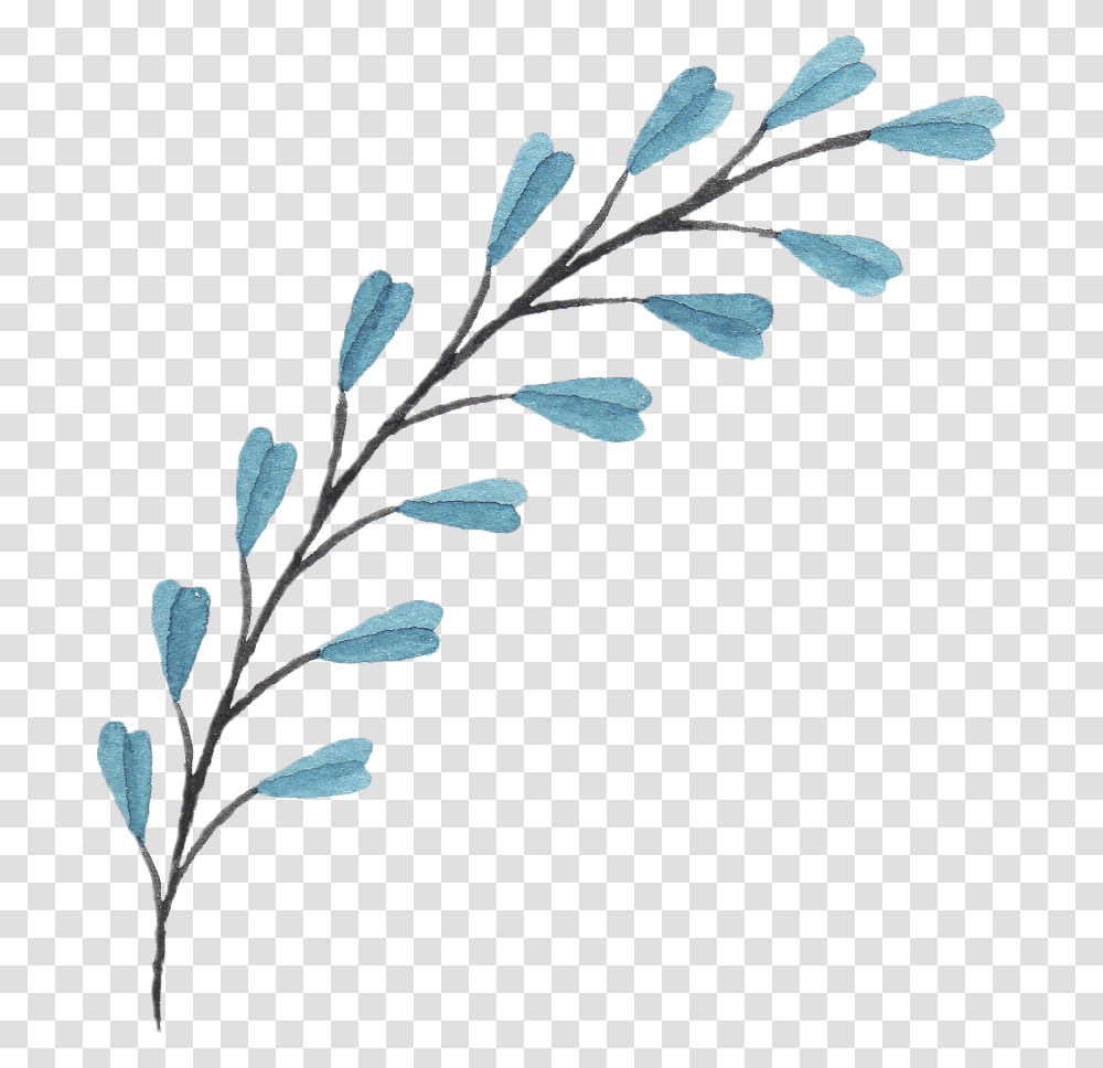 Bouquet Of Flowers Branches With Flowers Drawing, Plant, Leaf, Produce, Food Transparent Png