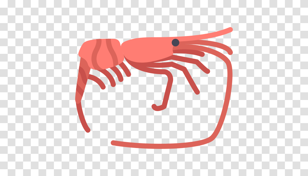 Bouquet Of Flowers Icon, Animal, Sea Life, Food, Crawdad Transparent Png
