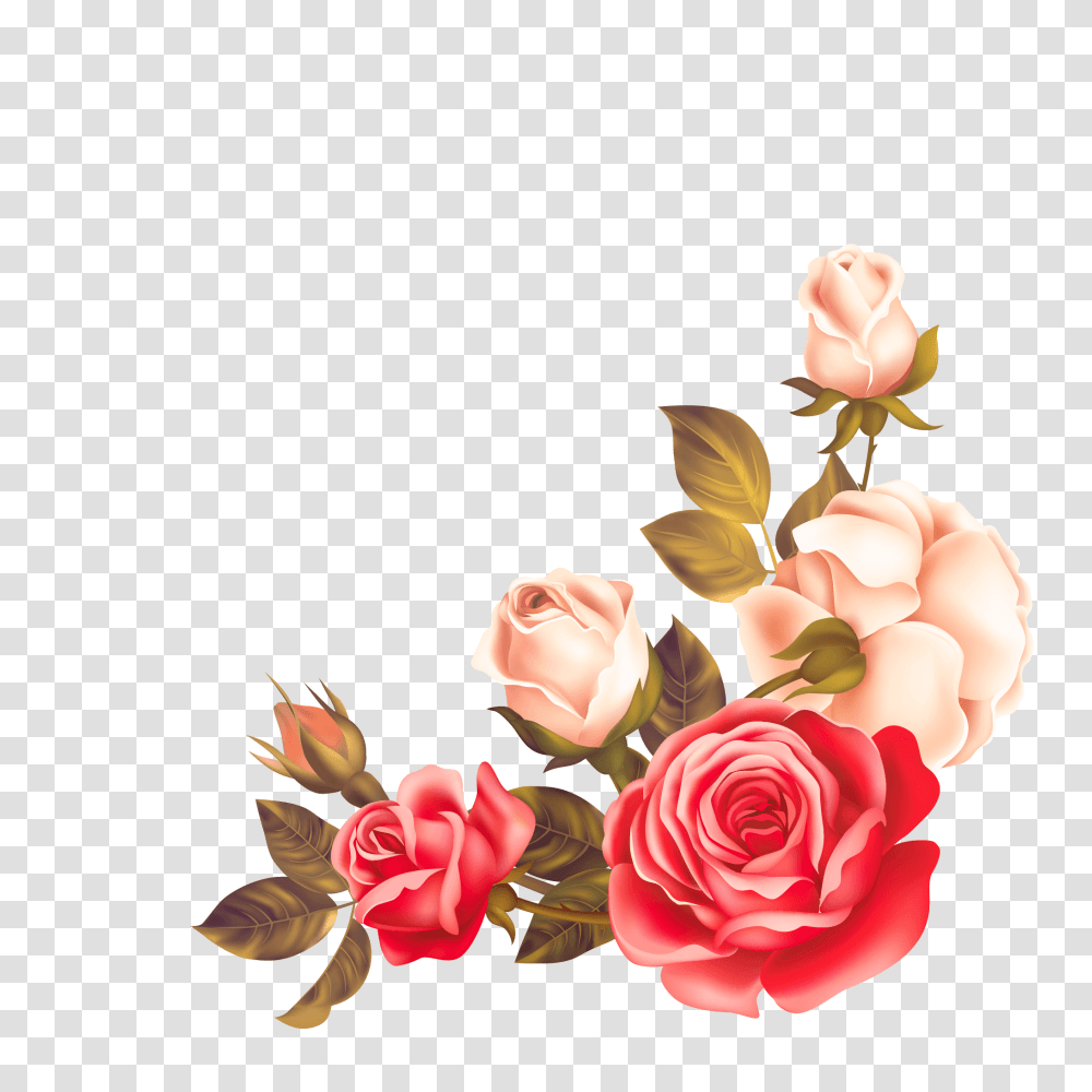 Bouquet Of Flowers Image Free Vector Flower Border, Plant, Rose, Blossom, Petal Transparent Png