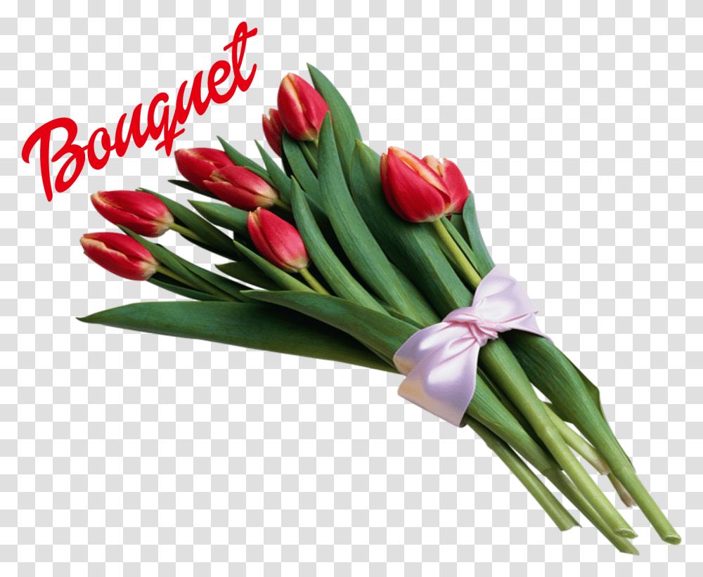 Bouquet Of Flowers Image, Plant, Blossom, Flower Bouquet, Flower Arrangement Transparent Png