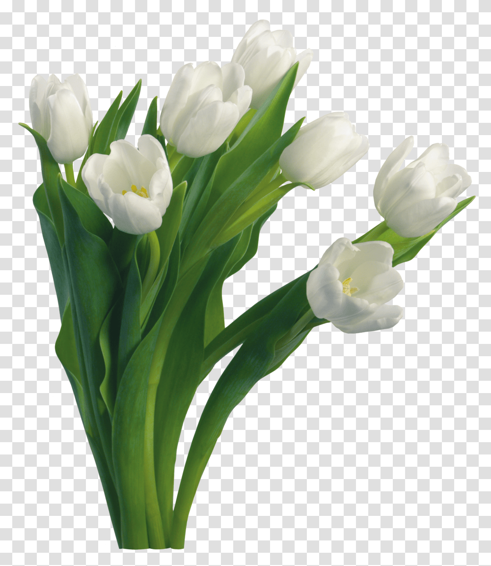 Bouquet Of Flowers Image Purepng Free Tulips White Flowers, Plant, Blossom, Flower Arrangement, Flower Bouquet Transparent Png