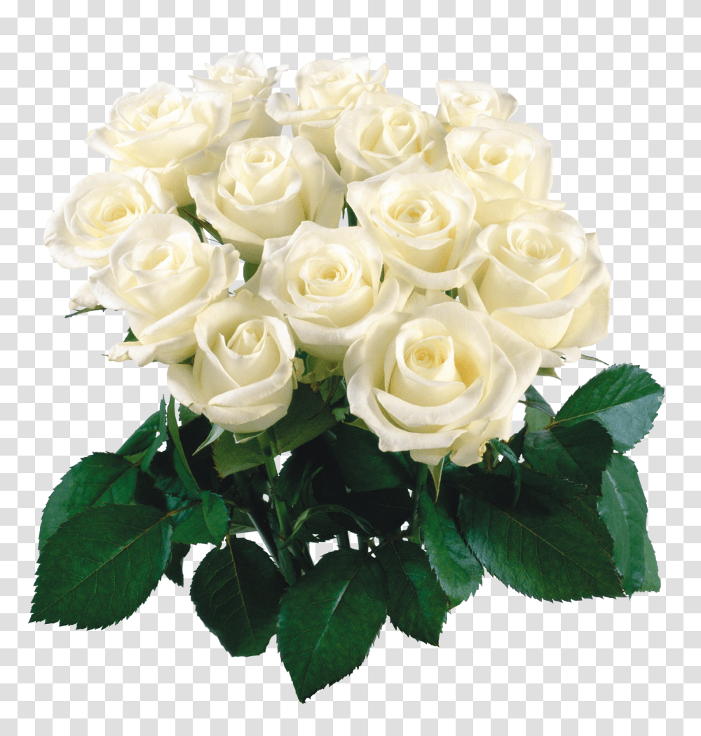 Bouquet Of Flowers Image White Flower Bokeh, Plant, Blossom, Flower Bouquet, Flower Arrangement Transparent Png