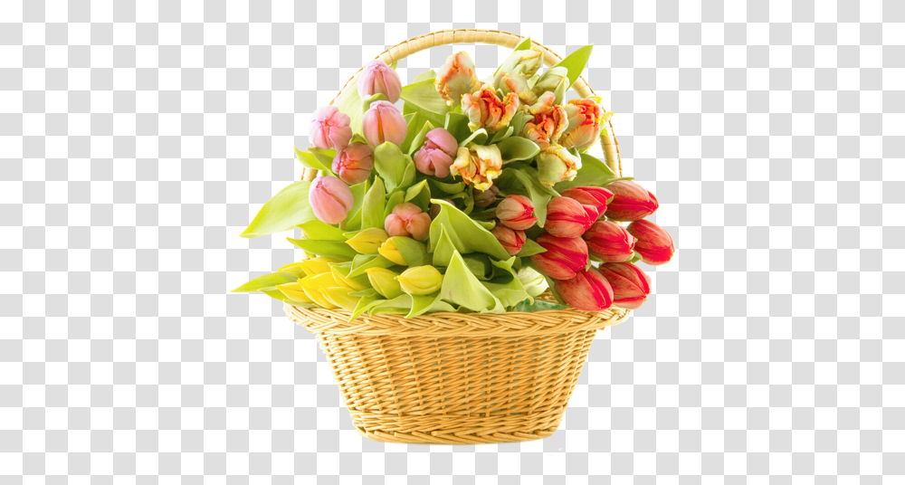 Bouquet Of Flowers Images Free Download Flower, Plant, Flower Bouquet, Flower Arrangement, Blossom Transparent Png