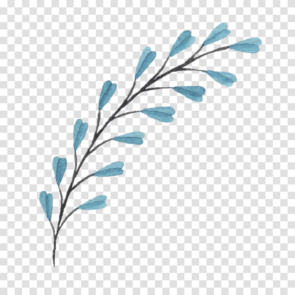 Bouquet Of Flowers, Plant, Leaf, Grain, Produce Transparent Png