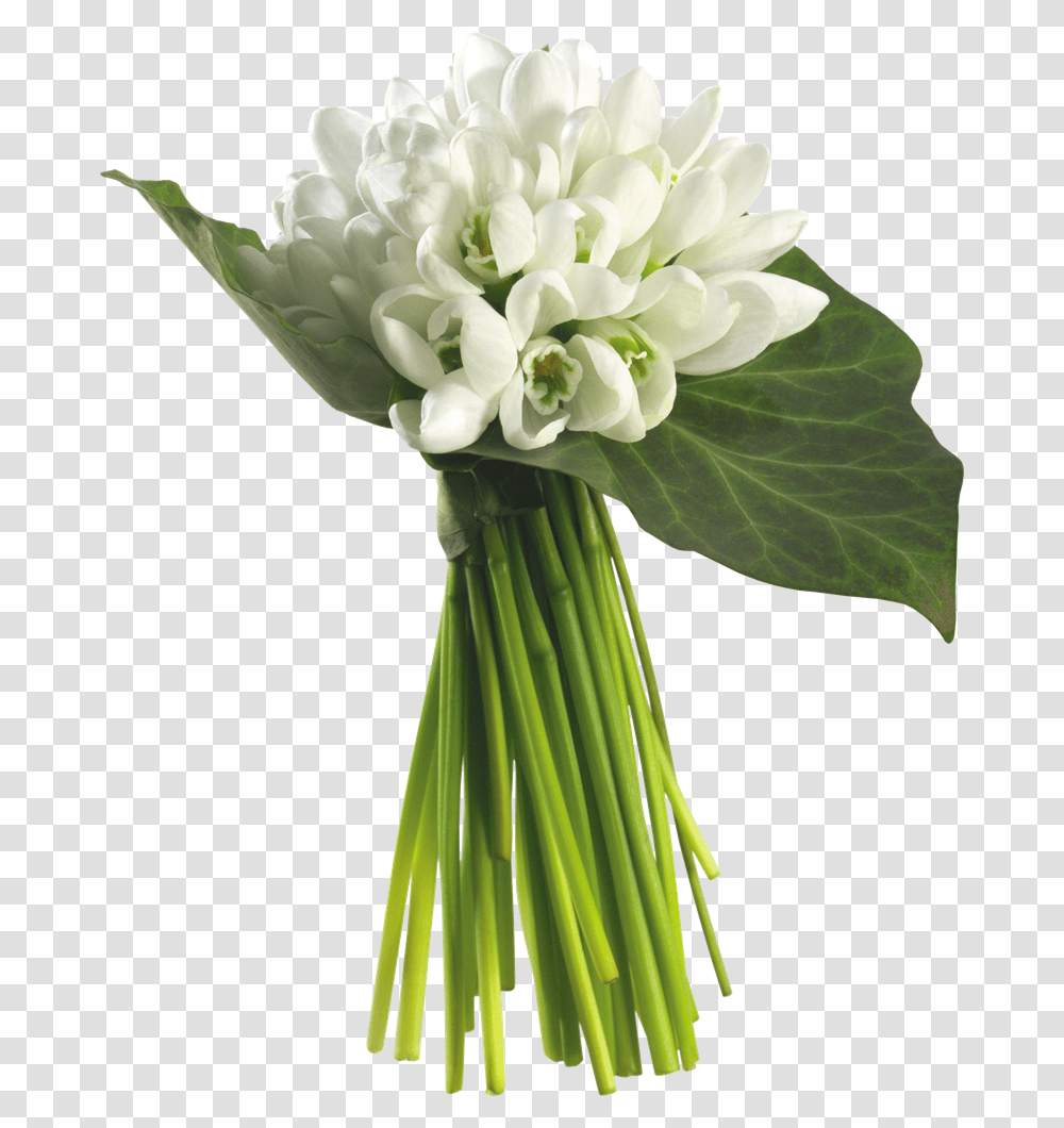Bouquet Of Jasmine Flowers, Plant, Blossom, Flower Bouquet, Flower Arrangement Transparent Png