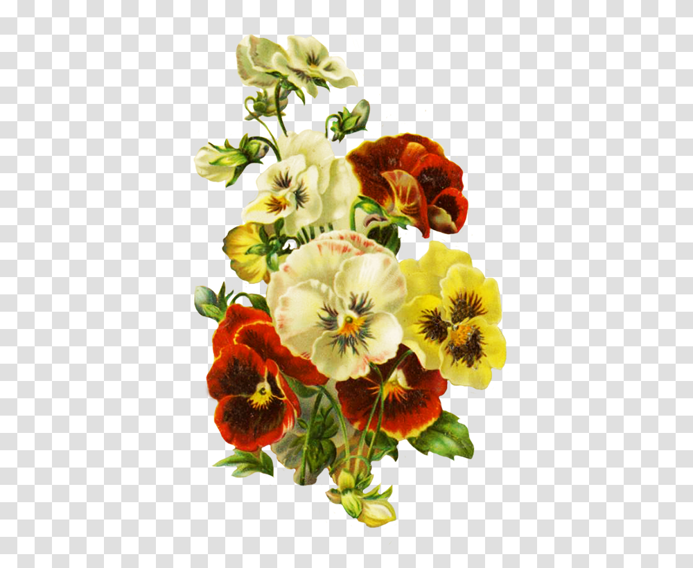 Bouquet Of Pansies Flower, Plant, Blossom, Pansy, Geranium Transparent Png