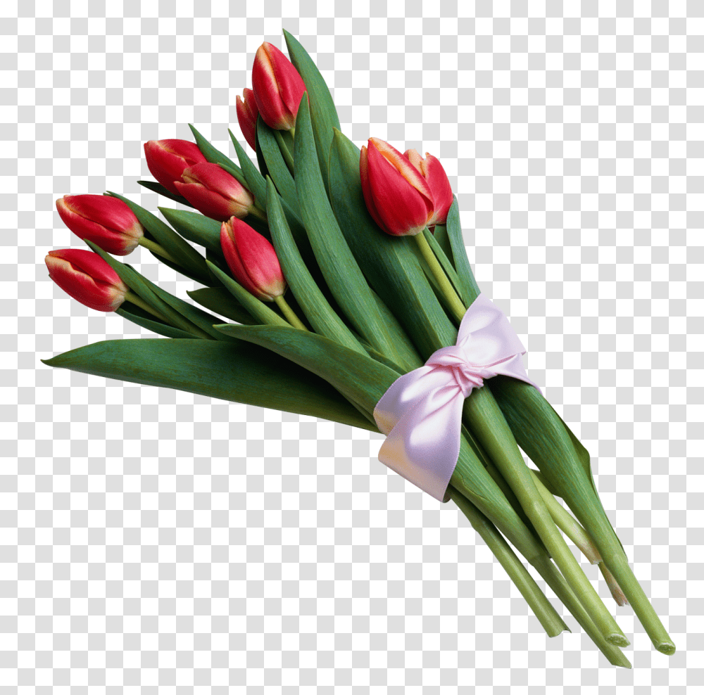 Bouquet Of Red Tulips Gallery, Plant, Flower, Blossom, Flower Bouquet Transparent Png