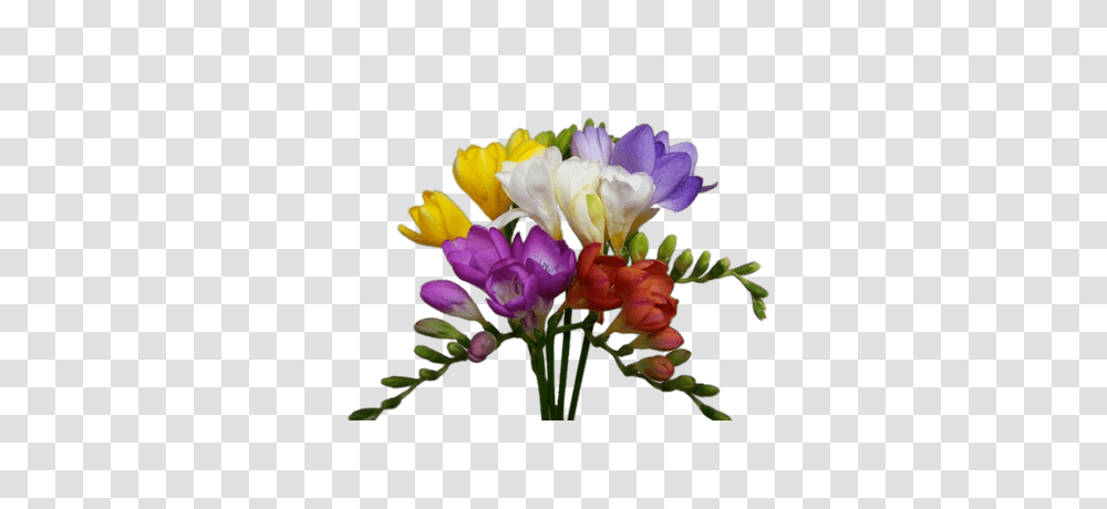 Bouquet Of Yellow Freesias, Plant, Floral Design, Pattern Transparent Png