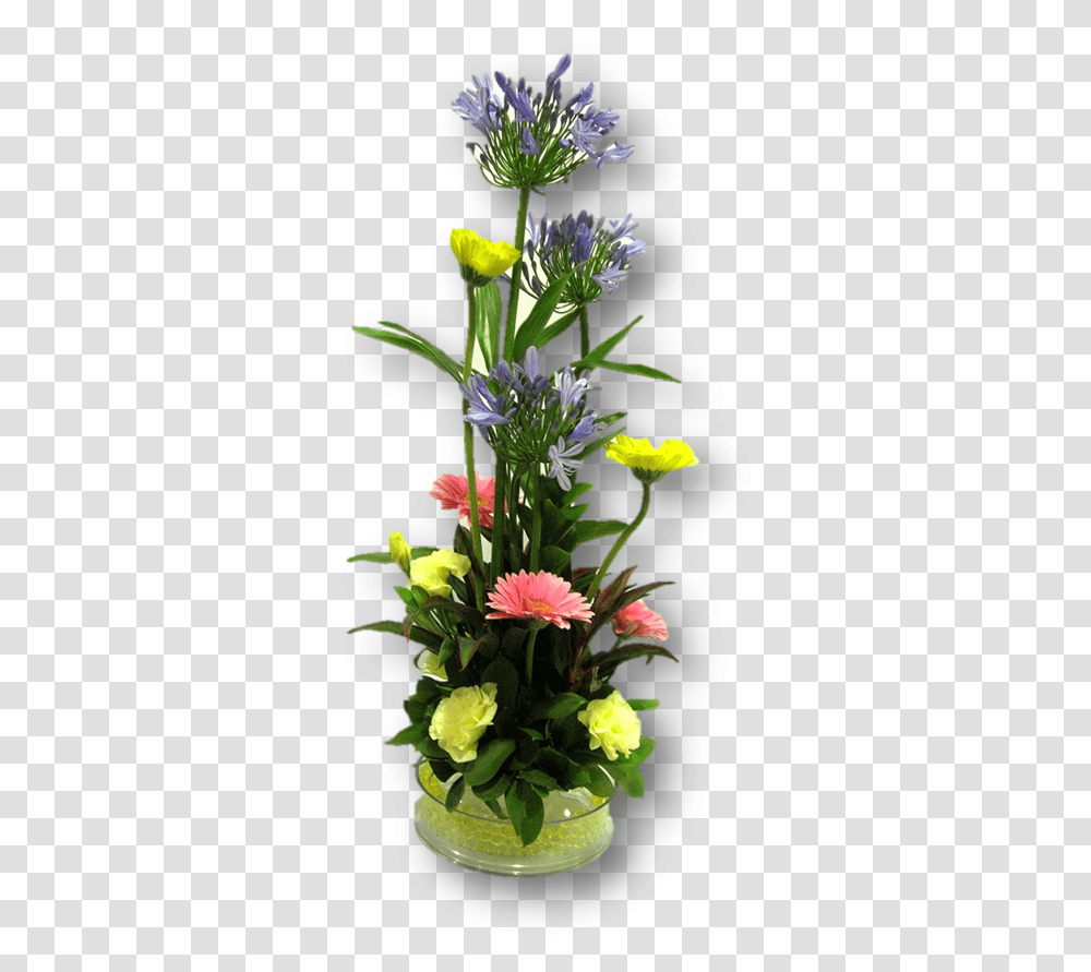 Bouquet, Plant, Floral Design, Pattern Transparent Png