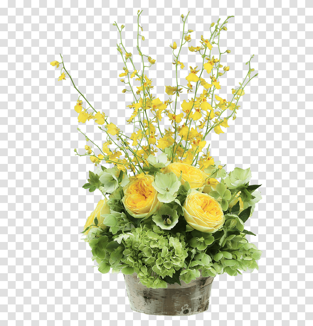 Bouquet, Plant, Floral Design, Pattern Transparent Png