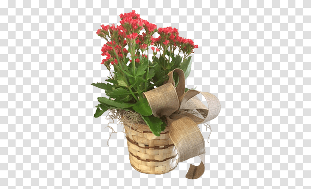 Bouquet, Plant, Flower, Blossom, Basket Transparent Png