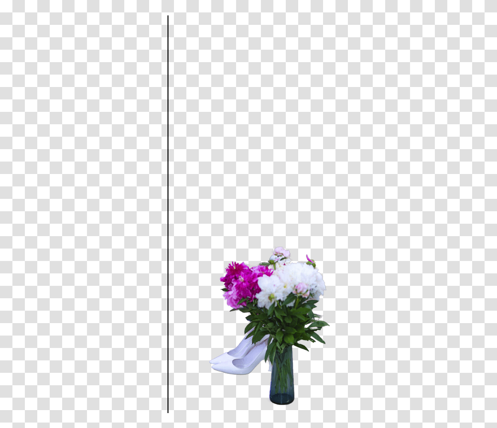 Bouquet, Plant, Flower, Blossom, Carnation Transparent Png