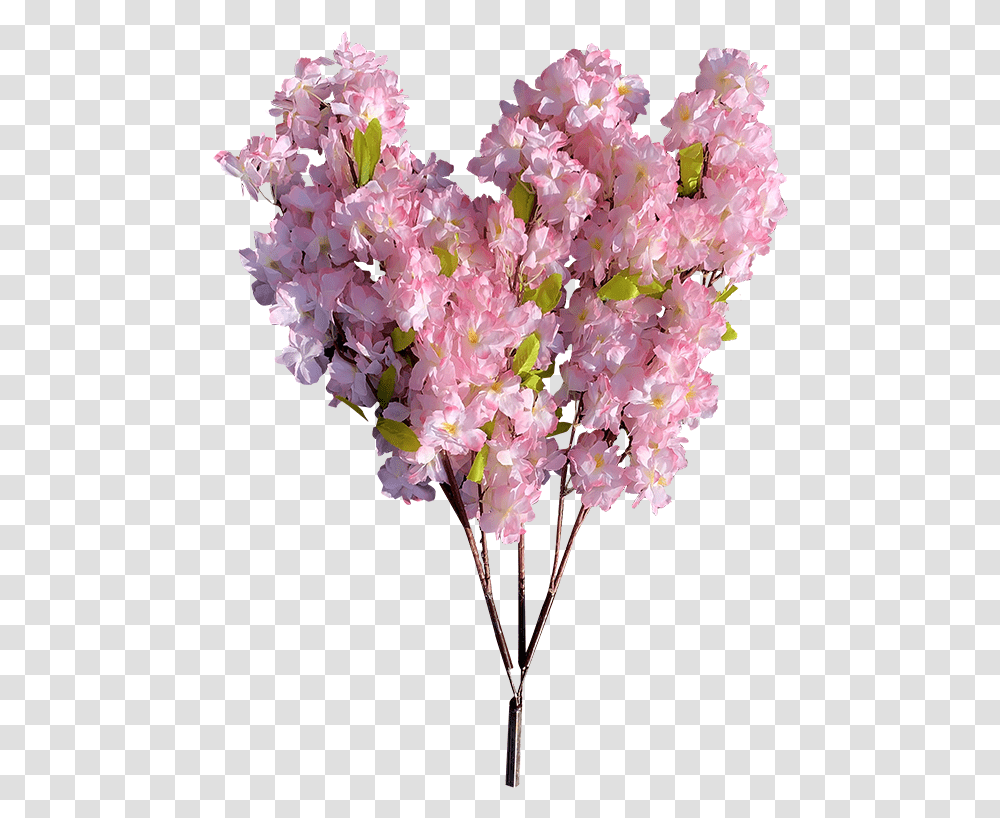 Bouquet, Plant, Flower, Blossom, Flower Arrangement Transparent Png