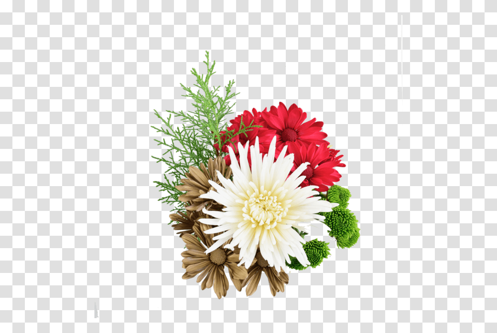 Bouquet, Plant, Flower, Blossom, Flower Arrangement Transparent Png