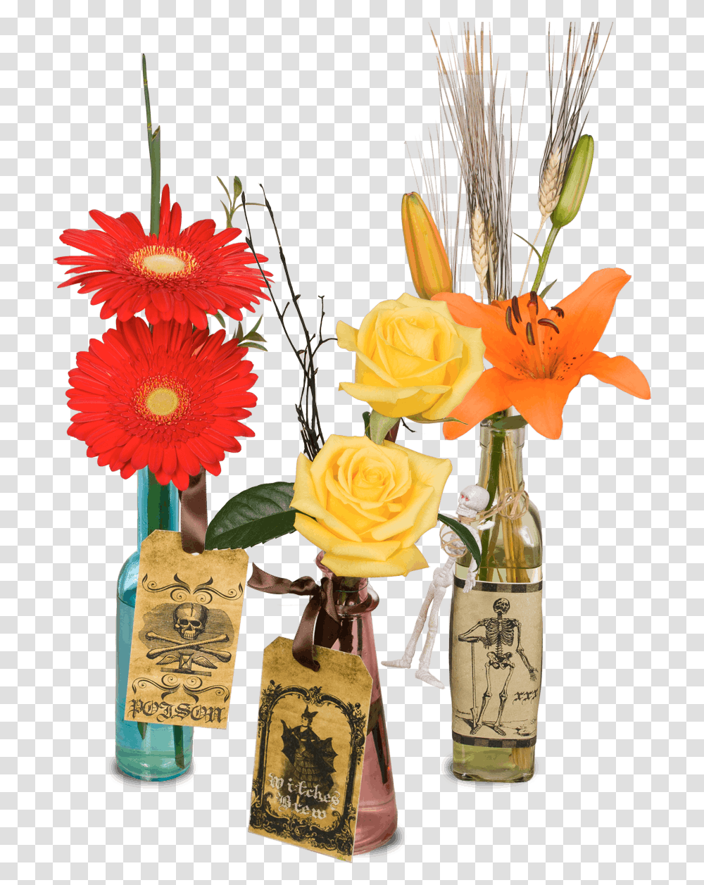 Bouquet, Plant, Flower, Blossom, Flower Arrangement Transparent Png