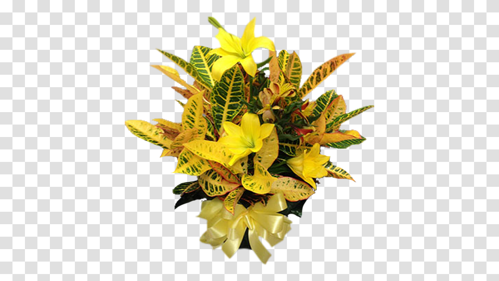 Bouquet, Plant, Flower, Blossom, Flower Arrangement Transparent Png