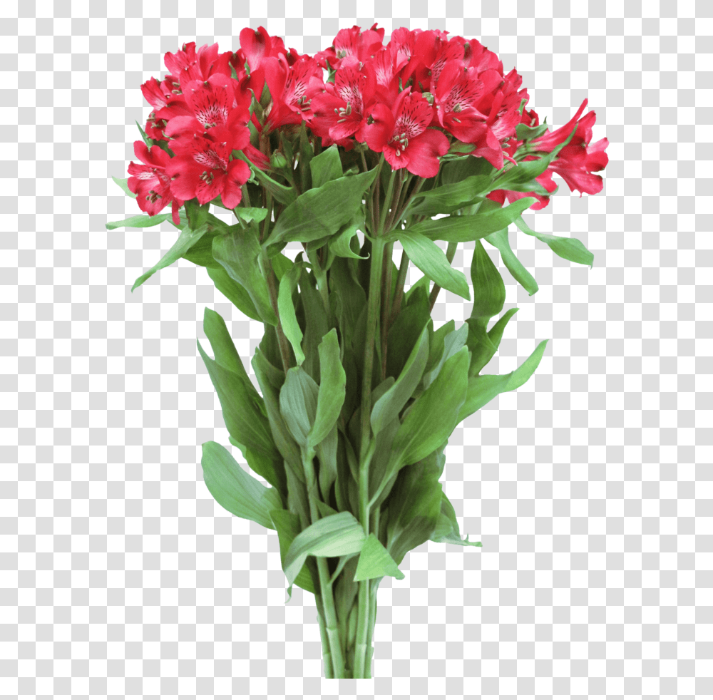 Bouquet, Plant, Flower, Blossom, Flower Arrangement Transparent Png