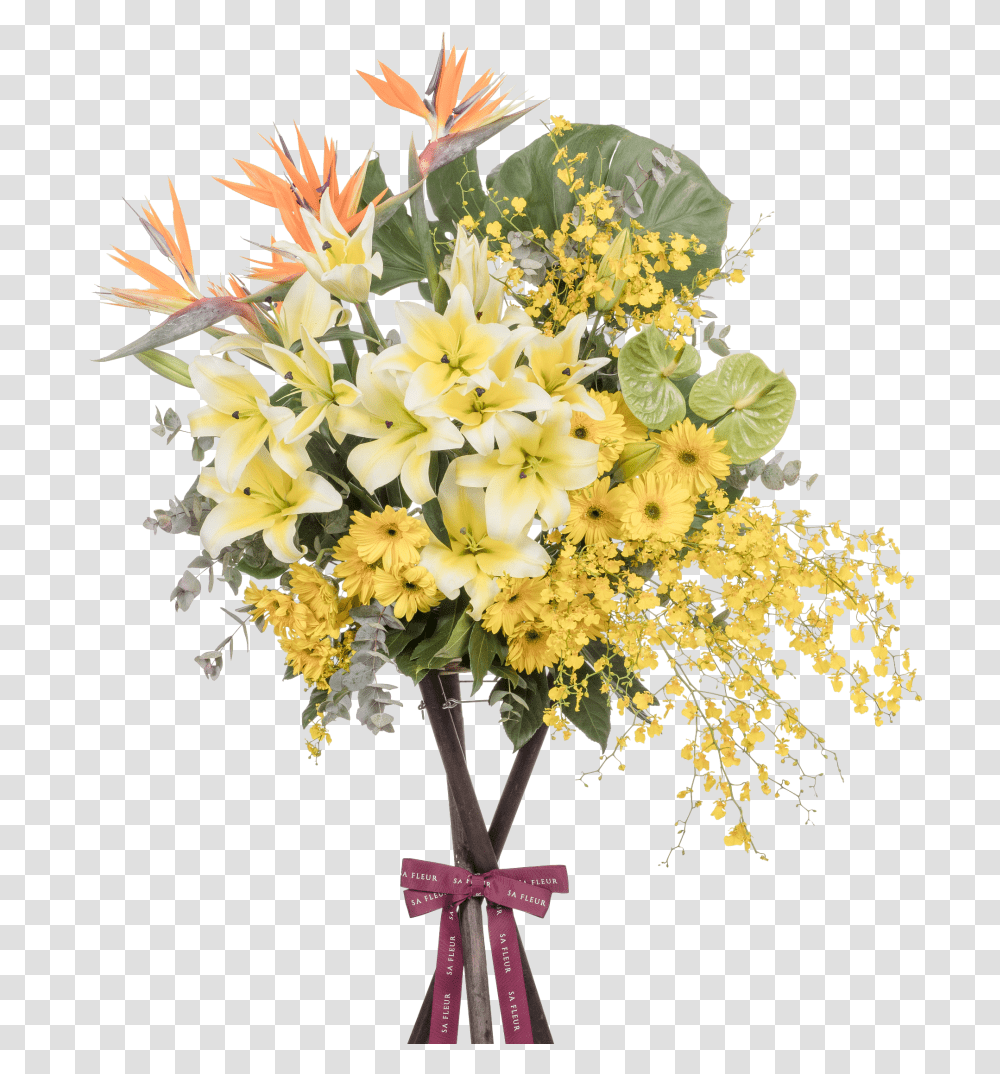 Bouquet, Plant, Flower, Blossom, Flower Arrangement Transparent Png