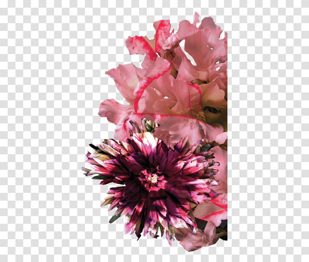 Bouquet, Plant, Flower, Blossom, Flower Bouquet Transparent Png