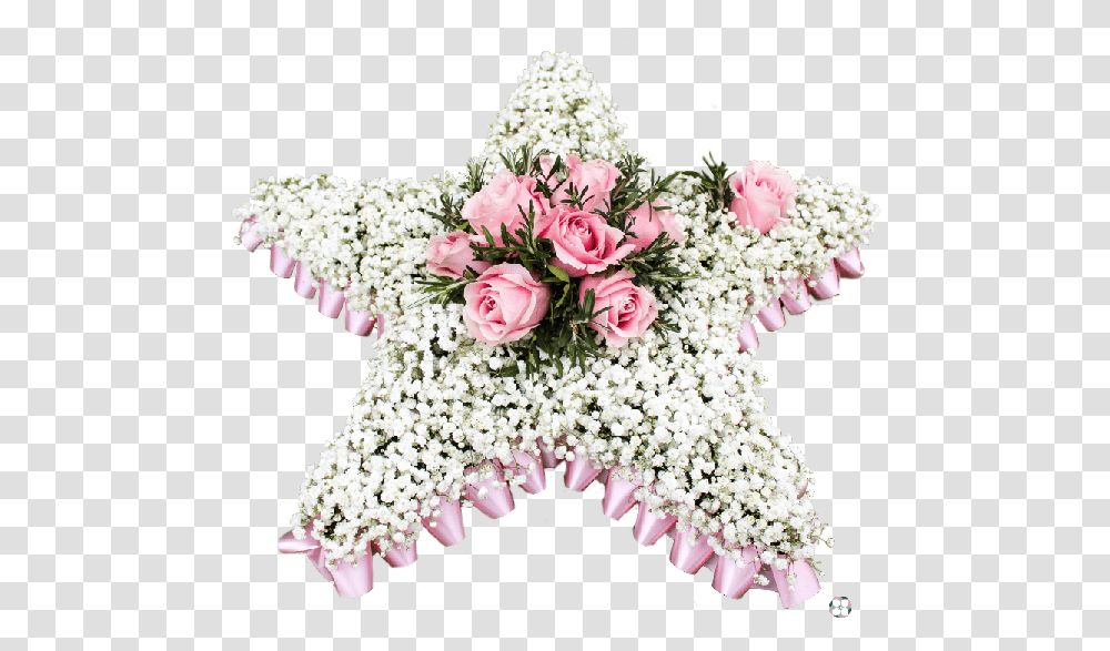 Bouquet, Plant, Flower, Blossom, Flower Bouquet Transparent Png