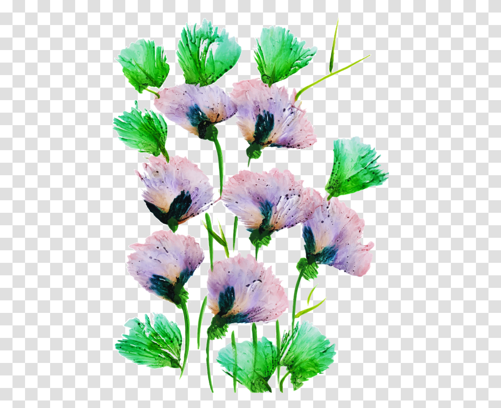 Bouquet, Plant, Flower, Blossom, Geranium Transparent Png