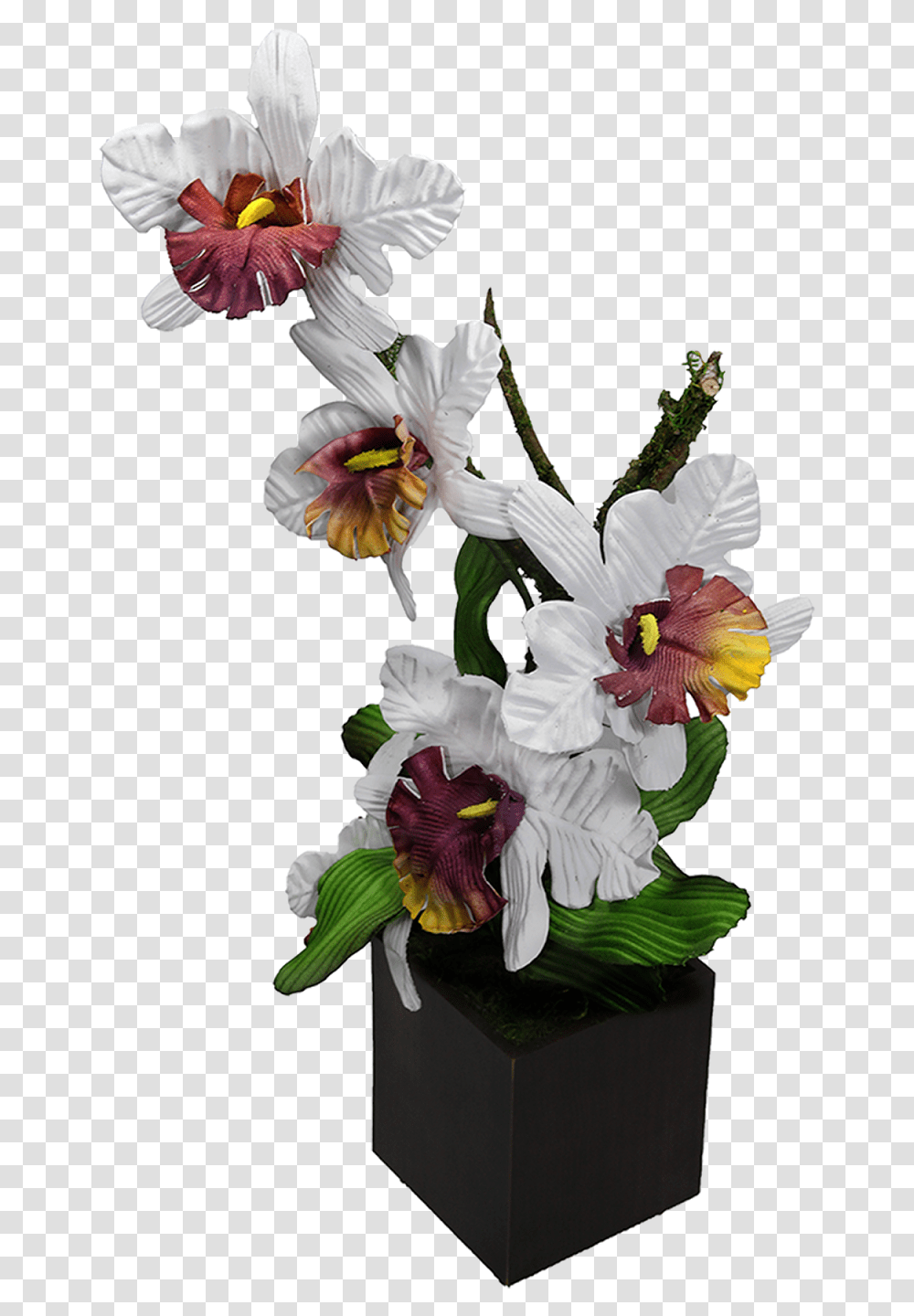 Bouquet, Plant, Flower, Blossom, Orchid Transparent Png