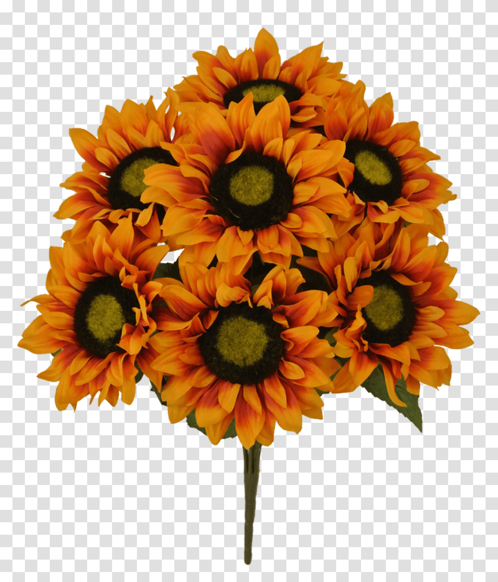 Bouquet, Plant, Flower, Blossom, Sunflower Transparent Png