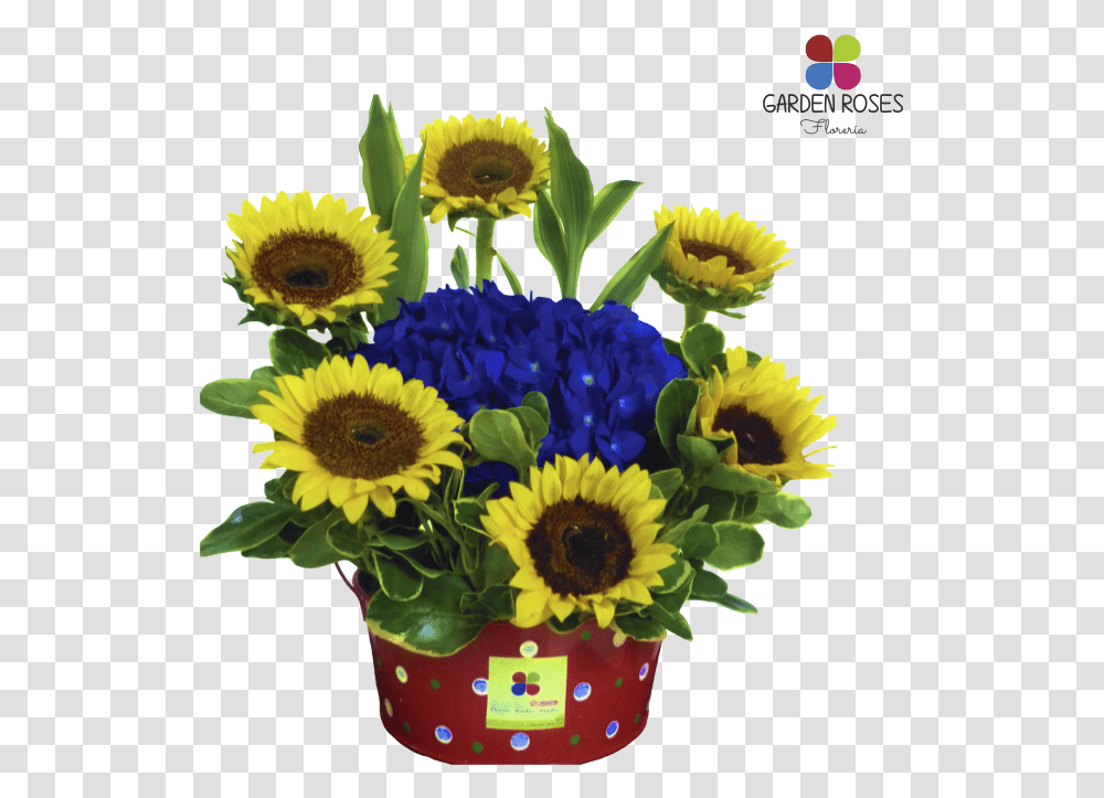 Bouquet, Plant, Flower, Blossom, Sunflower Transparent Png