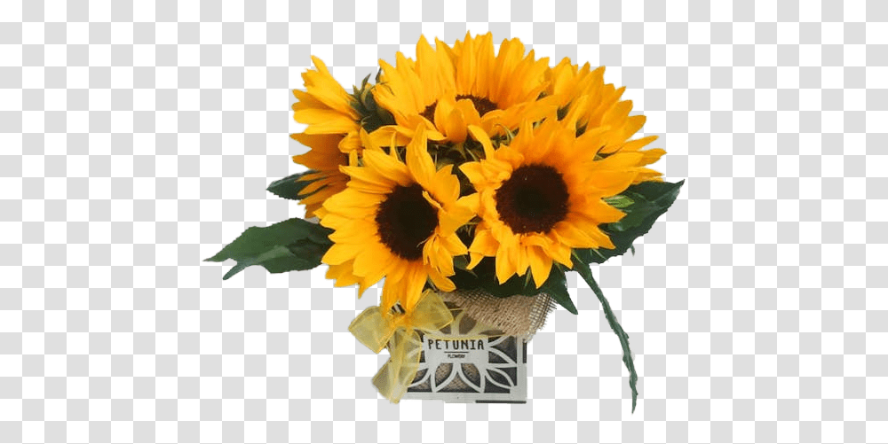 Bouquet, Plant, Flower, Blossom, Sunflower Transparent Png