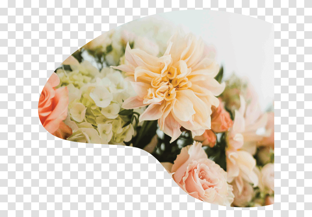 Bouquet, Plant, Flower Bouquet, Flower Arrangement, Blossom Transparent Png