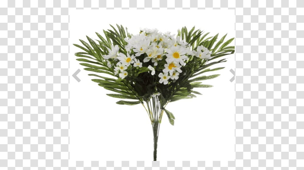 Bouquet, Plant, Flower Bouquet, Flower Arrangement, Blossom Transparent Png