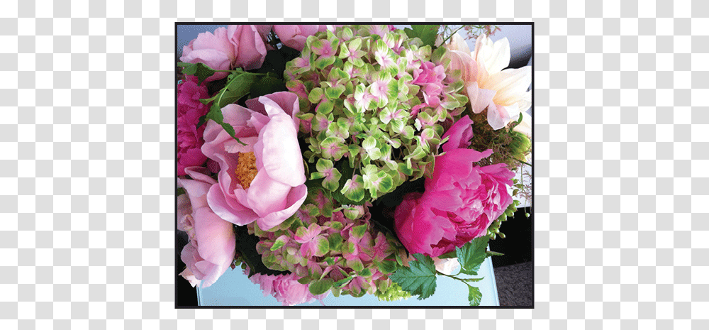 Bouquet, Plant, Flower, Floral Design, Pattern Transparent Png